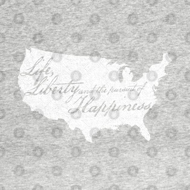 Life Liberty and the Pursuit of Happiness USA by erock